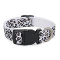 Printed Nylon Pet Collars Cat Collars Dog Collars Puppy Collars